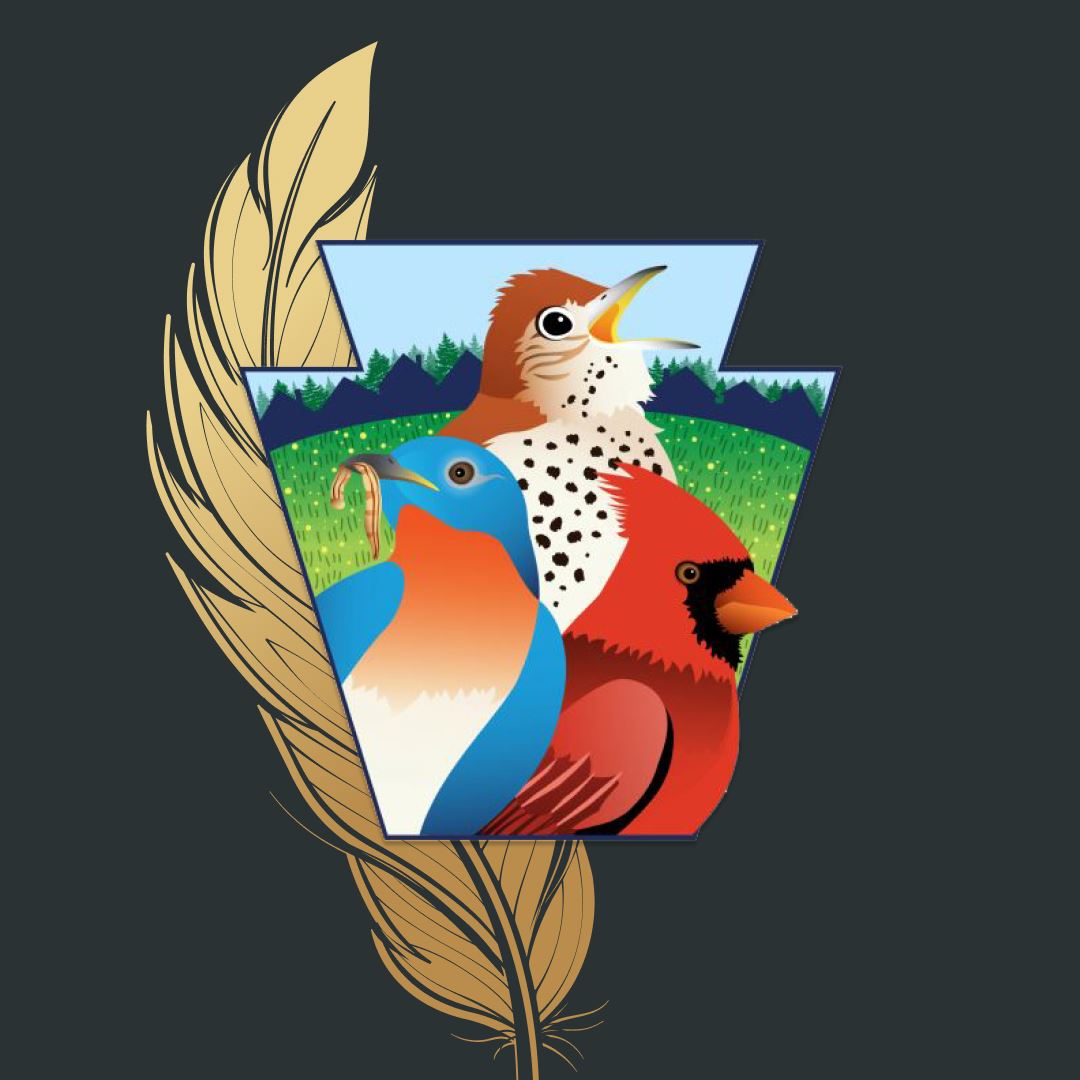 Tweet all about it: Lansdowne ‘golden’ for birds